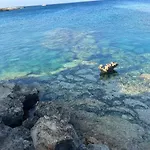 Apartment Lovely Cozy One Bedroom With Pool Protaras