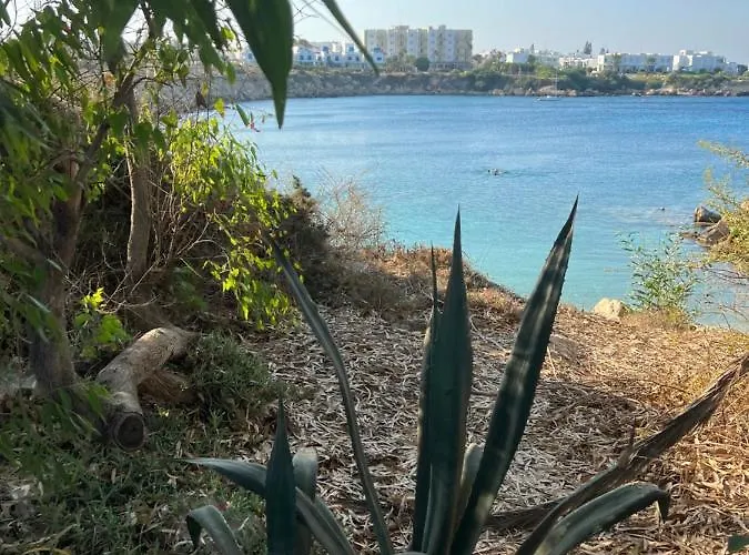 Lovely Cozy One Bedroom With Pool * Protaras